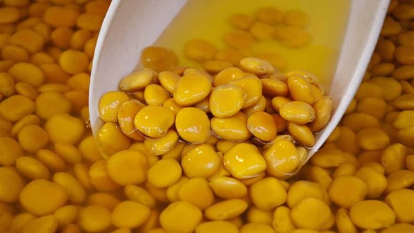 الترمس