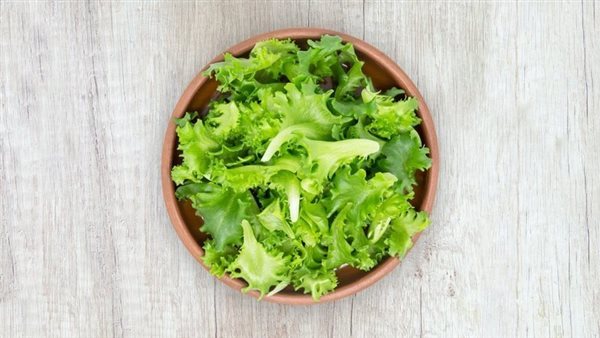 ما هي اضرار اكل الخس؟