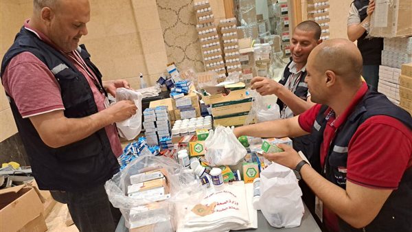 البعثة الطبية المصرية