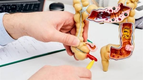 الفرق بين أعراض الزائدة