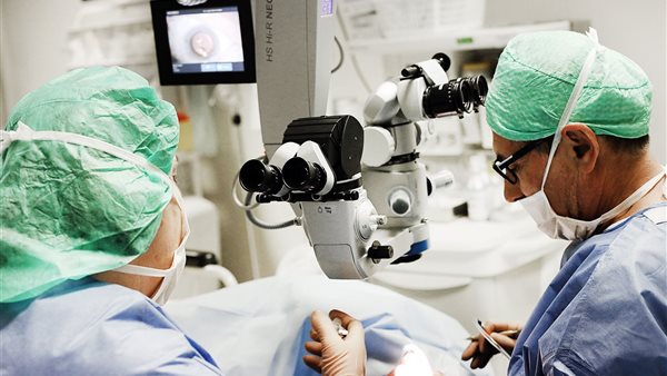 زراعة الأعضاء التناسلية