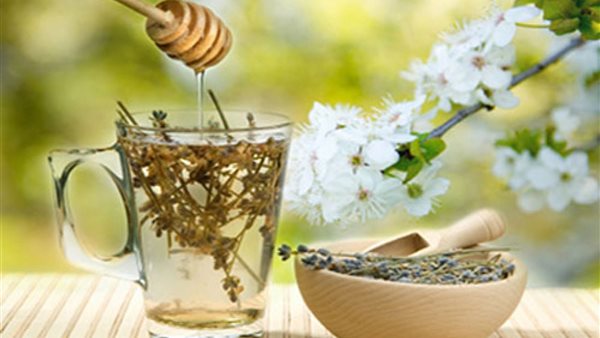 أعشاب آمنة للرضع