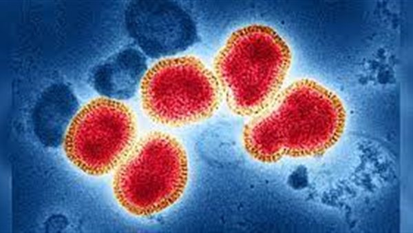 فيروس H3N2