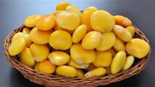 الترمس