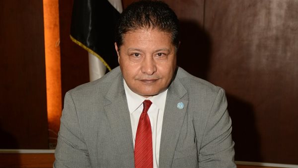 السفير مصطفي الشربيني