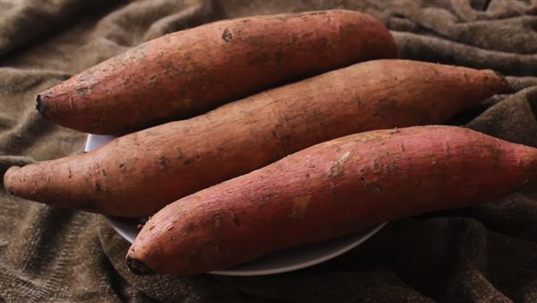 البطاطا