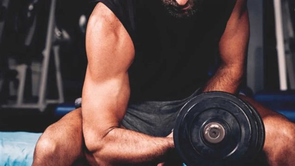 بناء العضلات