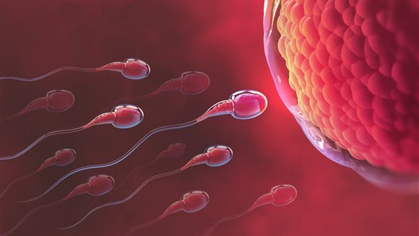 هل يؤثر التهاب الغشاء