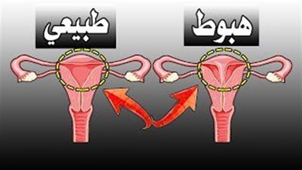 ما هي مراحل نزول
