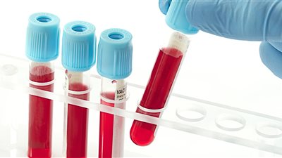 txt