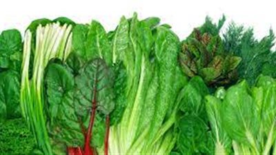 txt
