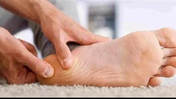 الشوكة العظمية