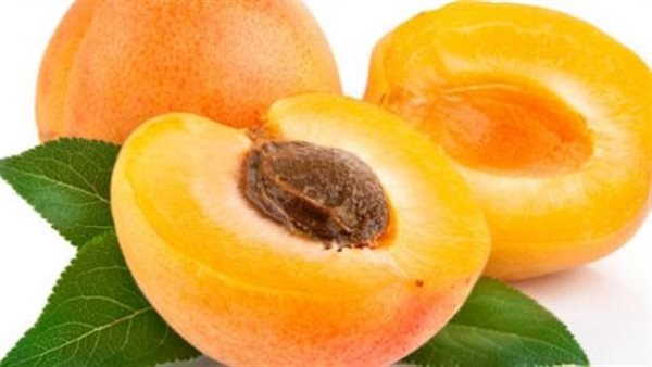 المشمش
