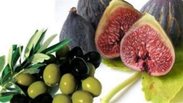 فوائد التين مع زيت