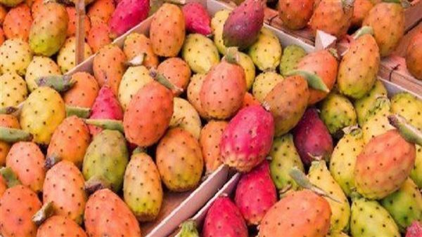 أضرار التين الشوكي