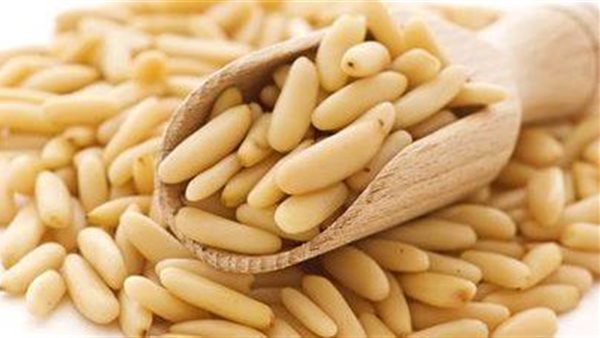 فوائد الصنوبر
