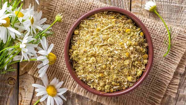 أنواع شاي الأعشاب