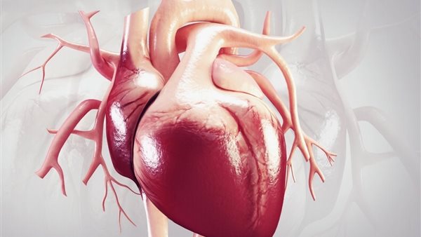 أمراض القلب.. أرشيفية