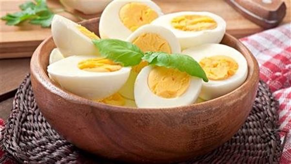 أهمية البيض في تغذية