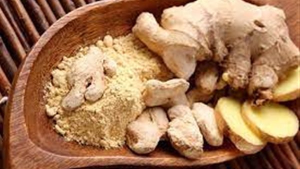 الزنجبيل.. أرشيفية