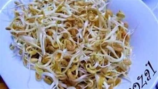فوائد الحلبة المنبتة