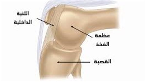 ما هى متلازمة الثَّنْية؟