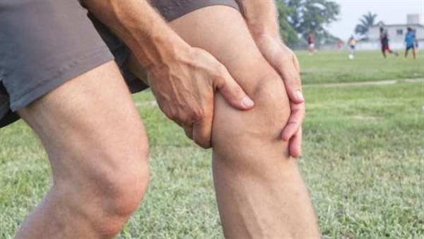 وظائف أربطة الركبة