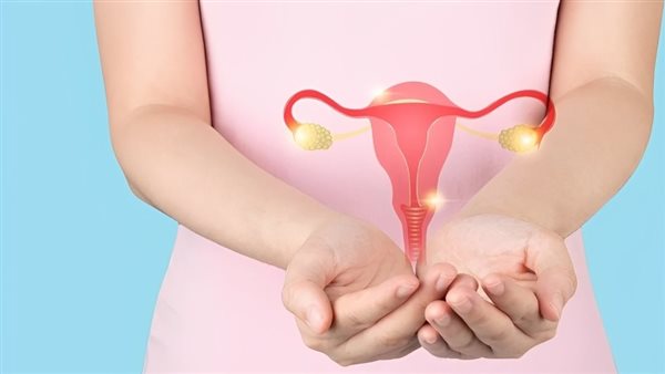 أكياس المبيض.. أرشيفية