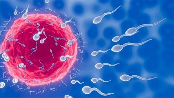 أعراض التبويض الناجح