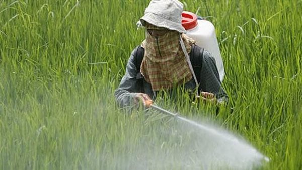 أضرار المبيدات الحشرية