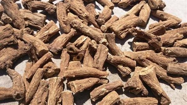 فوائد عشبة القسط