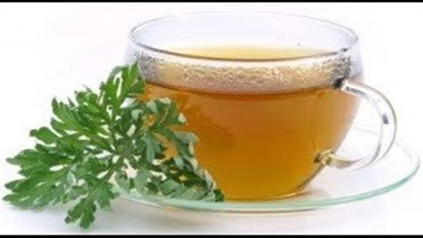 أضرار شرب الشيح على