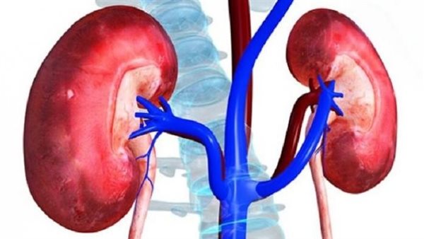 أسباب المتلازمة الكلوية