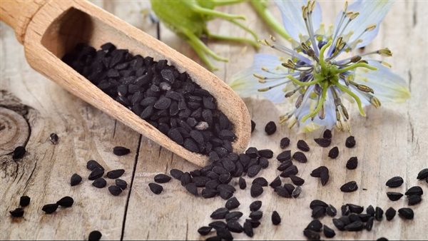 حبة البركة.. أرشيفية