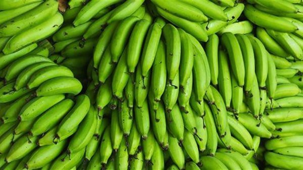 الموز الاخضر