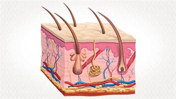 علاج التهاب بصيلات