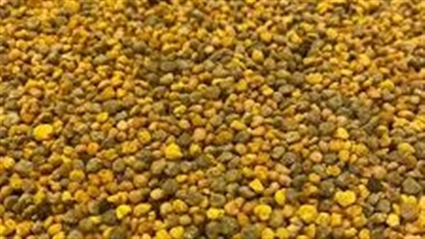 ما هى حبوب لقاح النحل؟