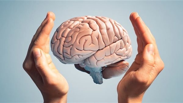 شيخوخة الدماغ.. أرشيفية