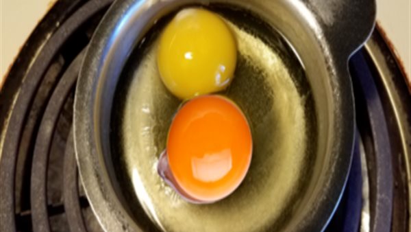 صفار البيض البرتقالي