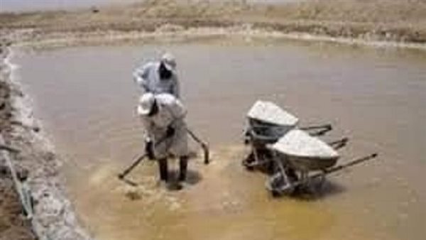 المخاطر الصحية لملح
