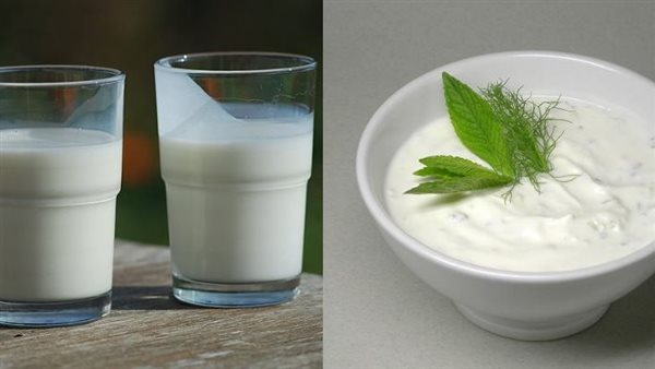 الفرق بين اللبن الرايب