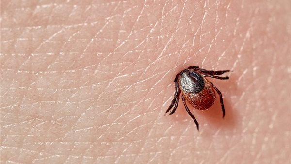 علاج متلازمة ألفا