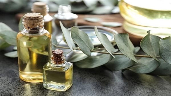 فوائد زيت الأوكالبتوس