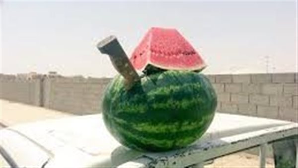 مخاطر شق البطيخ فى